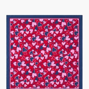 Talbots Vibrant Pink‎ and Navy Scarf